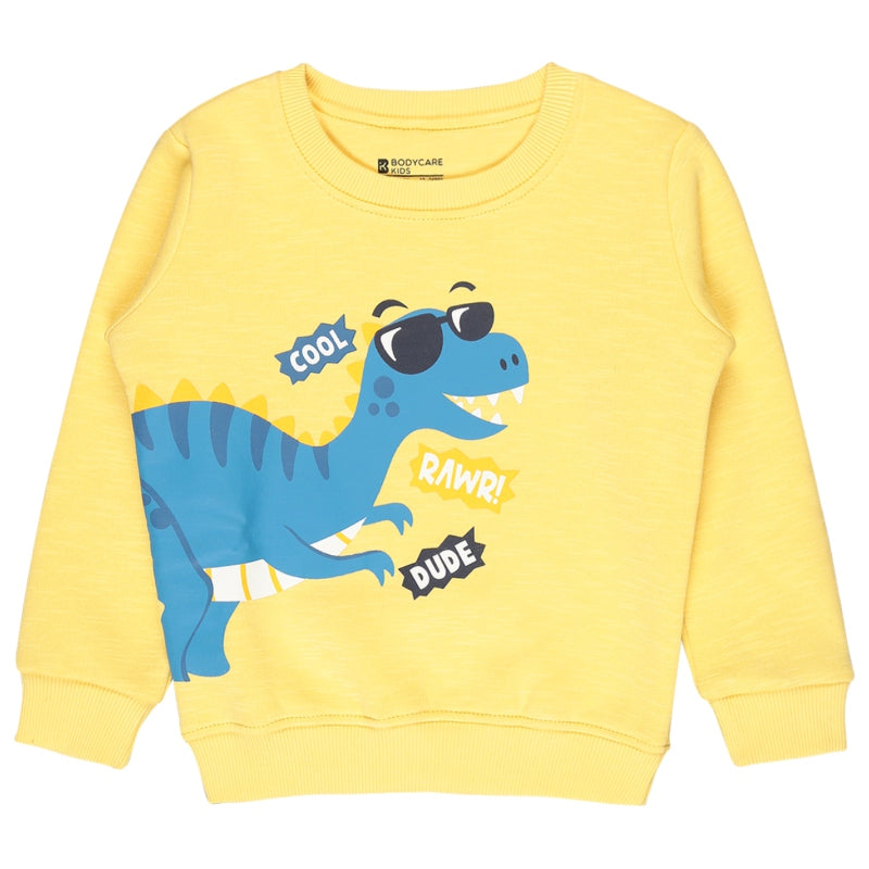Bodycare Boys Fleece Round Neck Full Sleeves Sweat Shirt