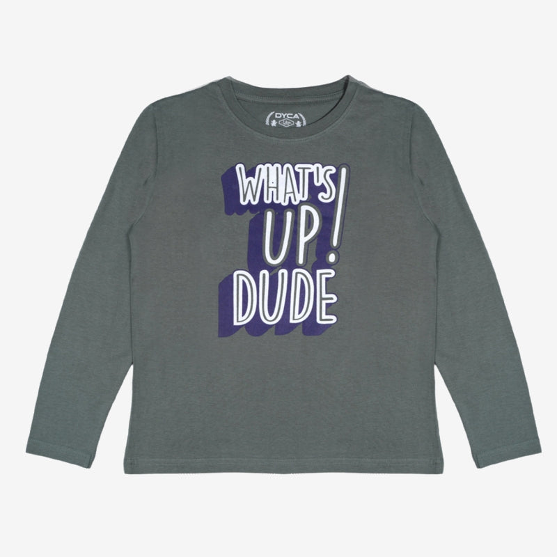 Dyca Boys Tshirt Round Neck Full Sleeves - Sage Green